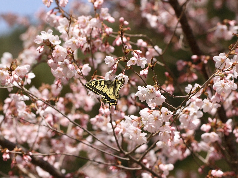 LAQn@@쌧@2013N414