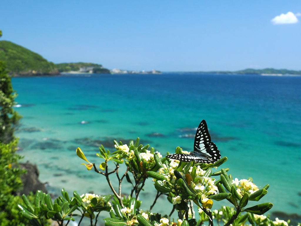 �~�J�h�A�Q�n�@�@���ā@�O�d��