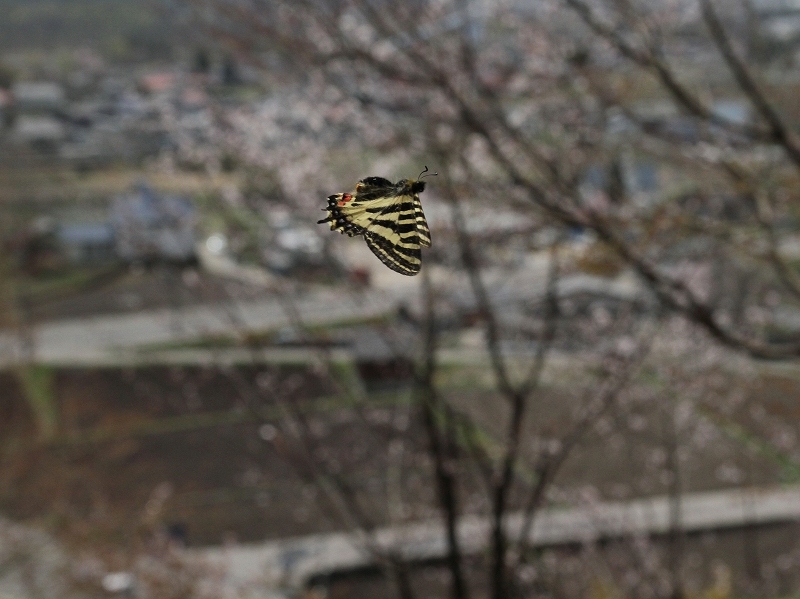 qMt`Eā@쌧n@2011N53