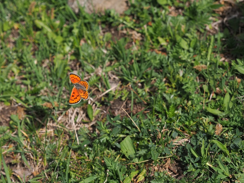 _CIExjVW~@o`h}@2023N612