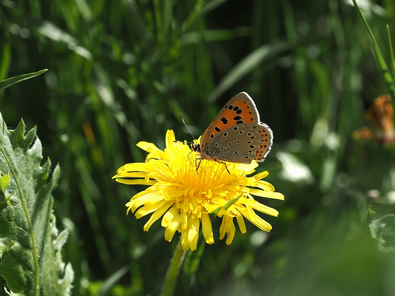 _CIExjVW~@Eo[g@2023N614