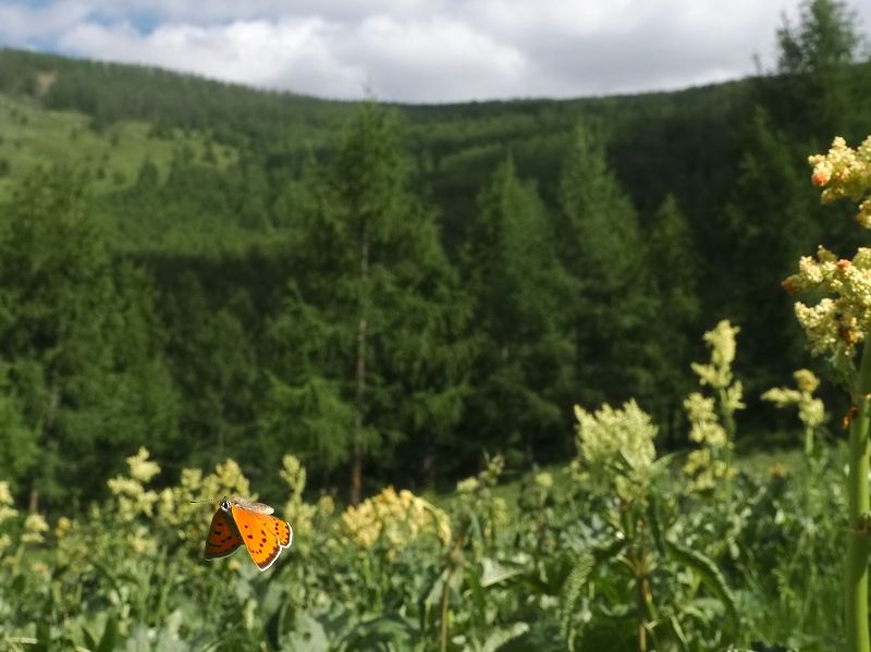 _CIExjVW~@Eo[g@2023N614