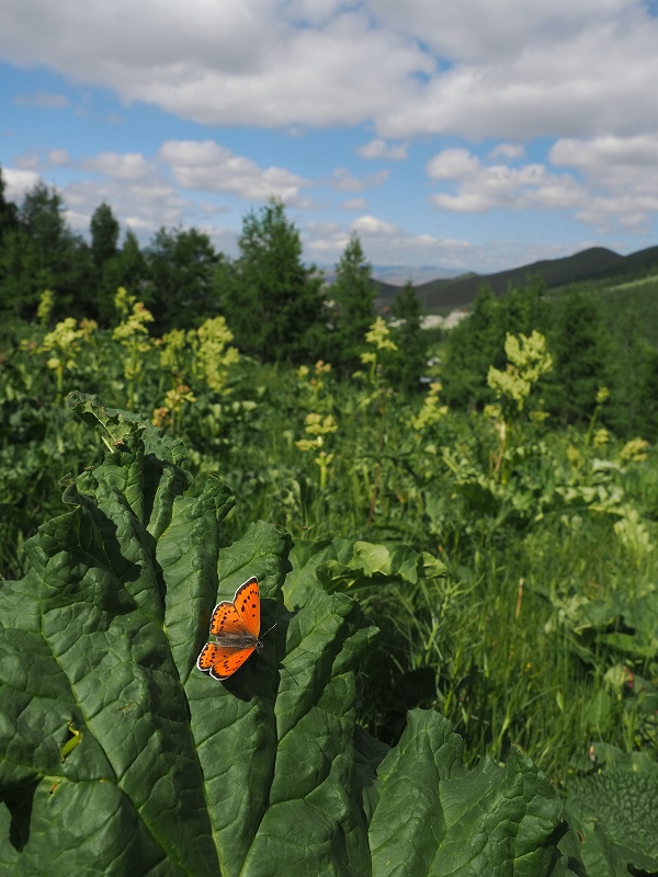 _CIExjVW~@Eo[g@2023N614