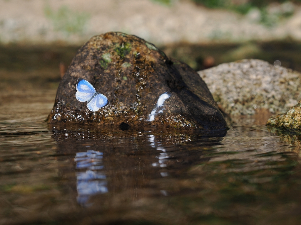 �T�c�}�V�W�~�@�O�d�����h�s