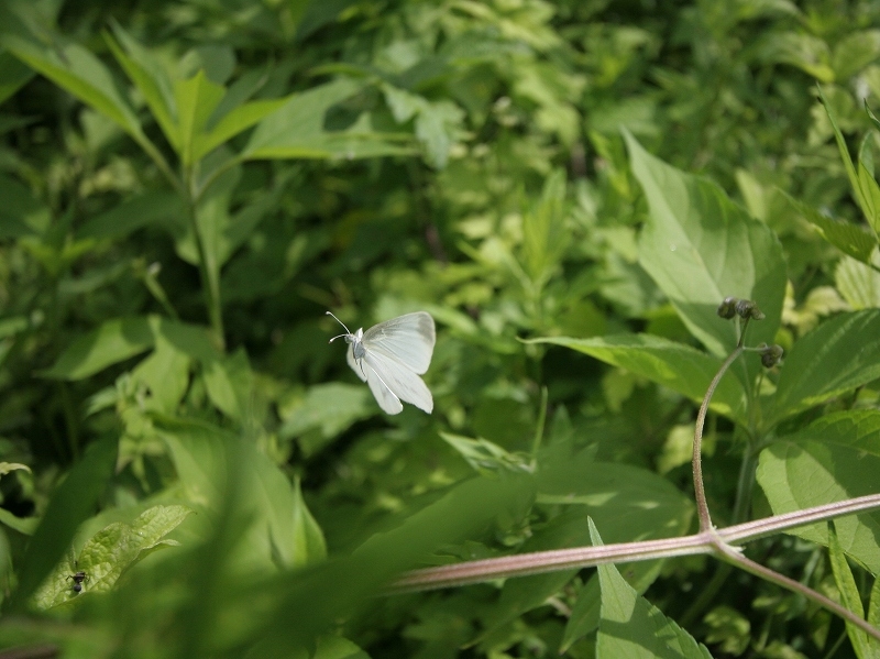 ĂqV`E@@쌧s@2008N713