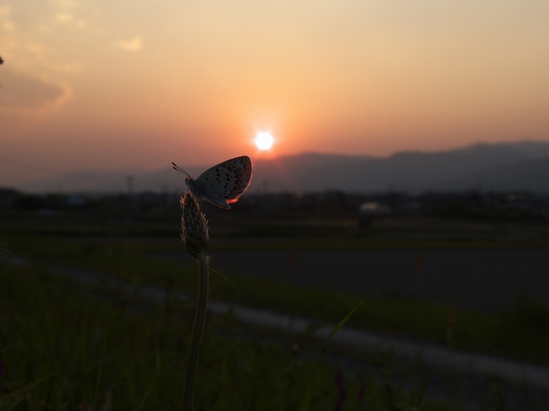 VrAVW~@[ɐÎ~́@