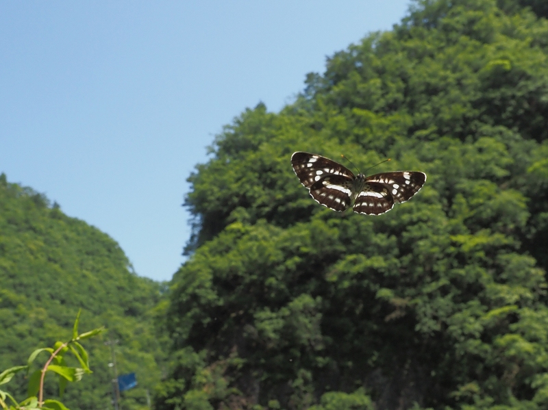 ĂzV~XW@ޗǌ\Ð쑺@2021N61