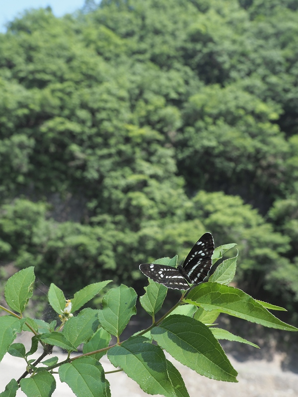 JzV~XW@ޗǌ\Ð쑺@2021N61
