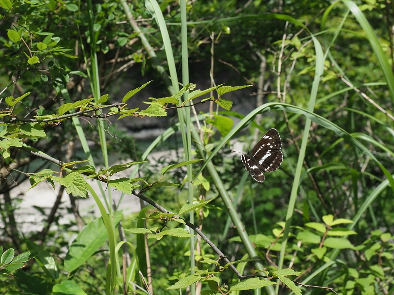 ĂzV~XW@ޗǌ\Ð쑺@2021N61